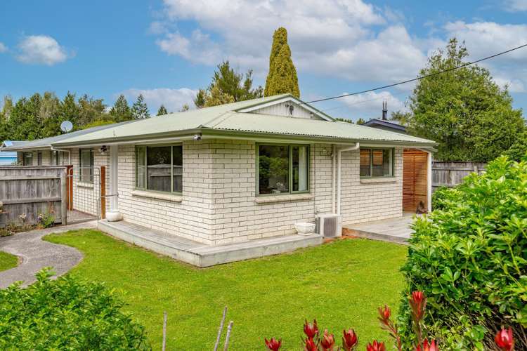 113a East Street Greytown_11