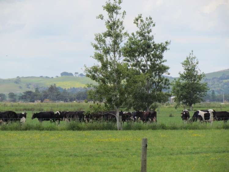 354 Access Road Ruawai_2