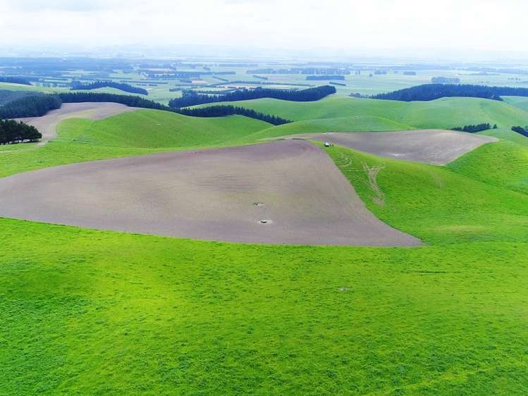 1471 Georgetown-Pukeuri Road Awamoko_8