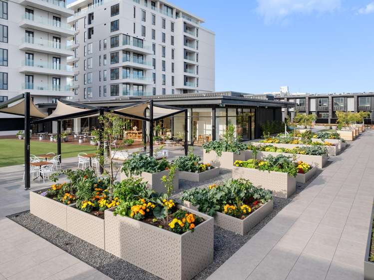 709/38 Elizabeth Street Tauranga Central_22