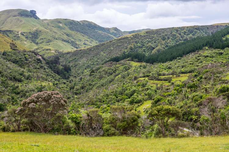 671 Saunders Road Tiraumea_24