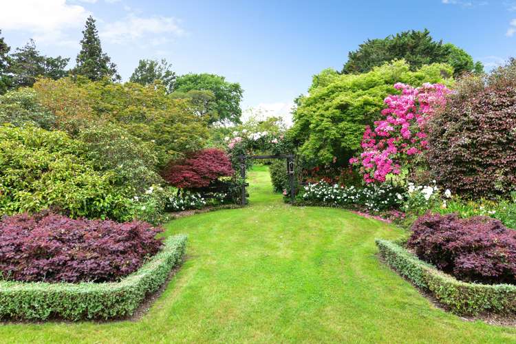 99 Newell Road Tamahere_23