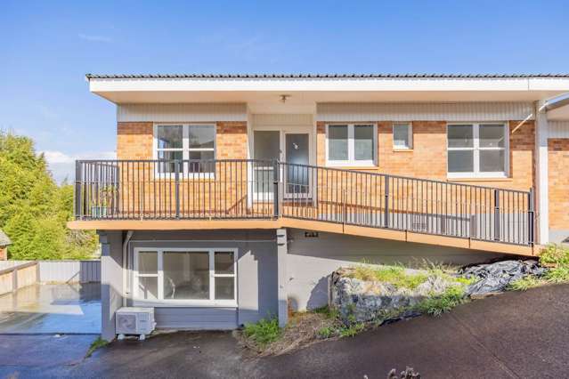 3/16b Penney Avenue Mount Roskill_1