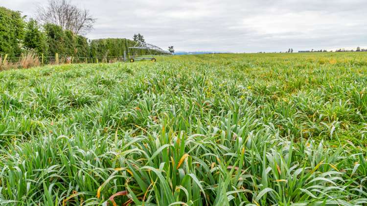 205 Barrs Road Sheffield_23