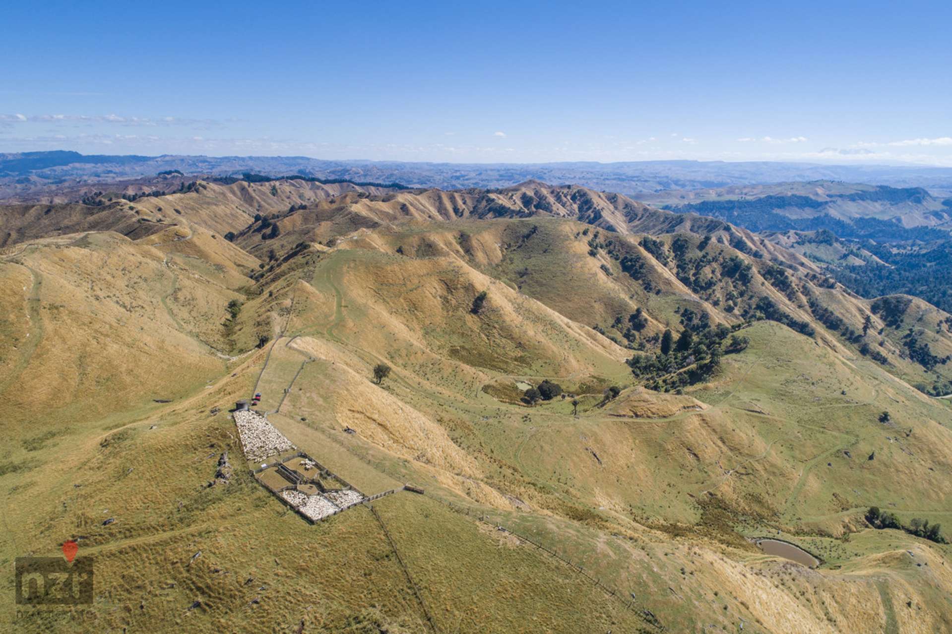 250 Makino Road Rangitikei Surrounds_0