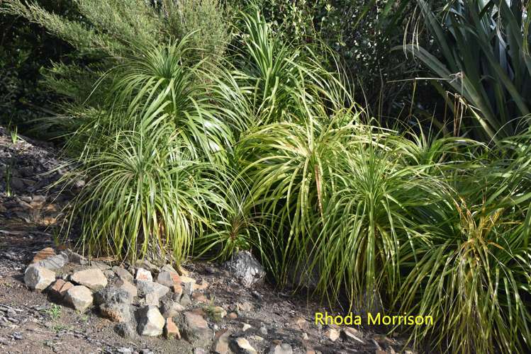 23 Te Wairoa Lane Tinopai_30