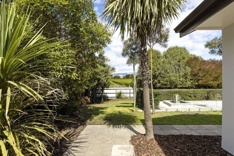 59 Anglesea Street Renwick_27