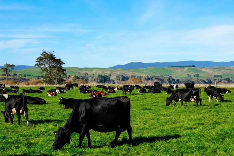 2803 Ohai Clifden Highway Orawia_1