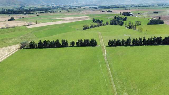 311 Hamilton Road Fairlie_2