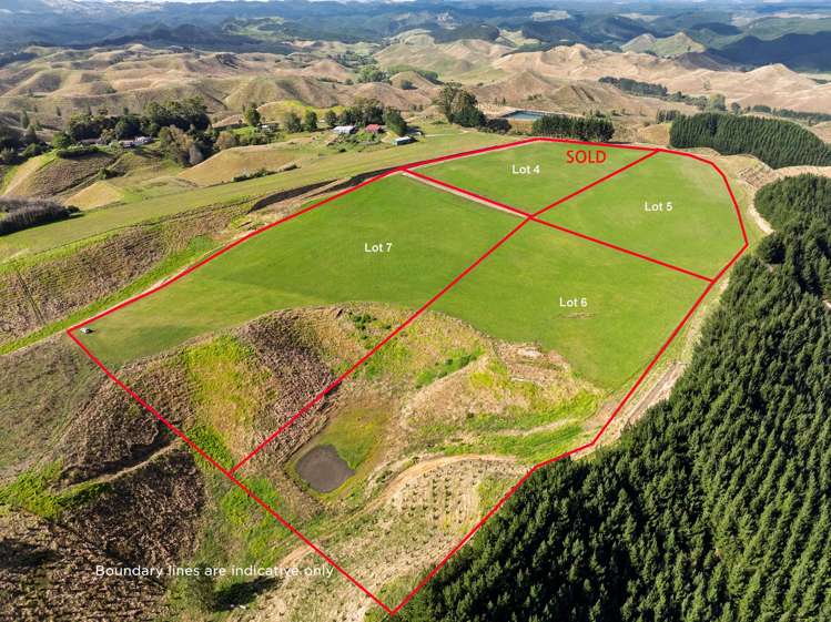 Lot Lot 1-7/166 Airstrip Road_1