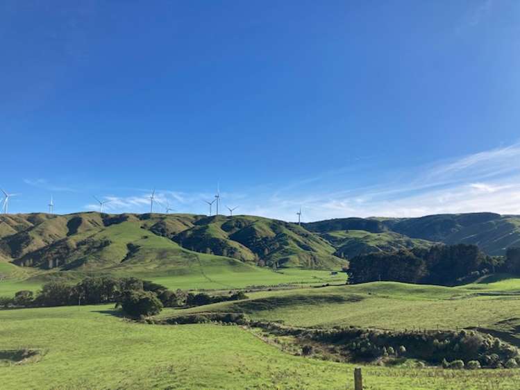 Tararua Road Pahiatua_1