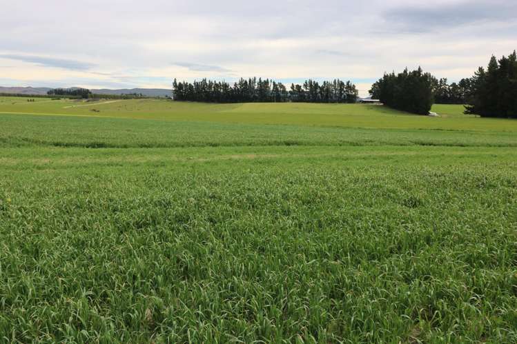 195 Dunn and Cody Road Riversdale_18