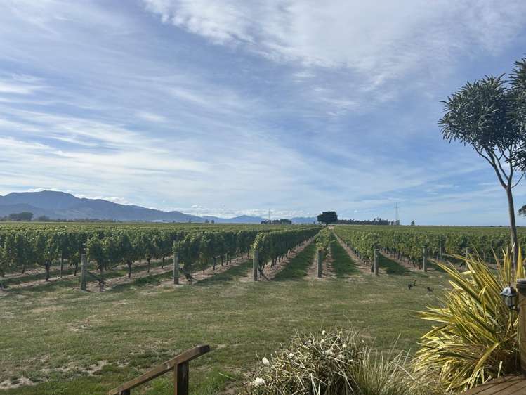 499 Wairau Bar Road 10706_2