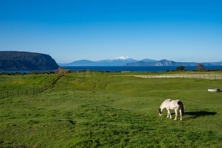 18 Kahikatea Drive Kinloch_25