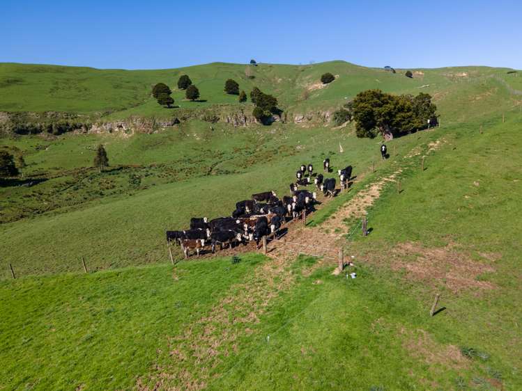 246 Allen And Eyre Road Onewhero_16