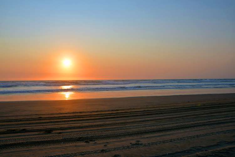 498 West Coast Road Awanui_24