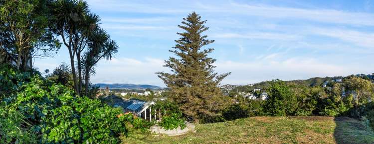 55 Fairview Crescent Kelburn_15