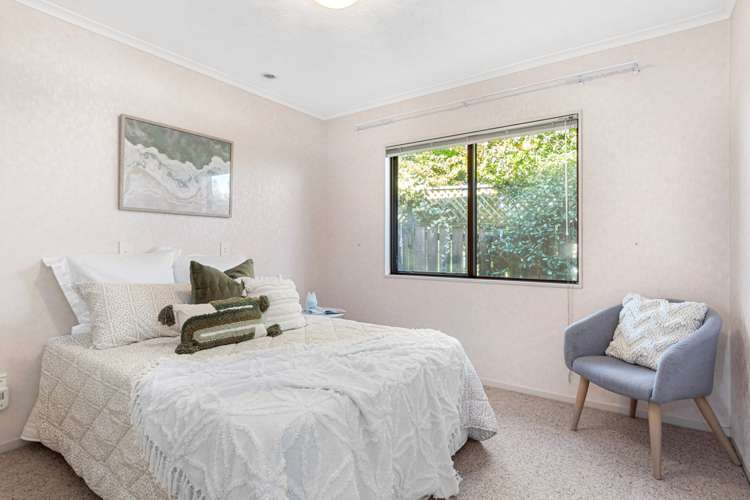 6b Camellia Place Greerton_13