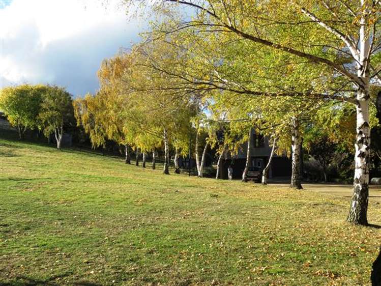 52 Burn Cottage Road Cromwell_23