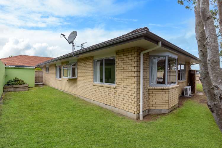 199b Captain Springs Road Onehunga_15