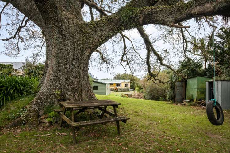 15 George Street Waihi_24