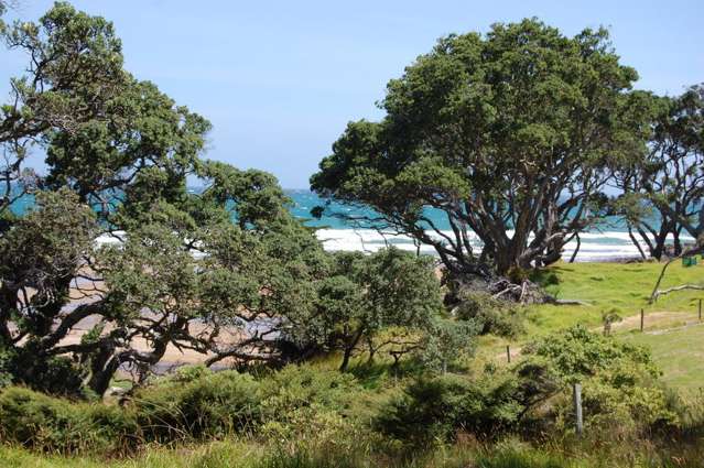 333 Blind Bay Road Great Barrier Island (Aotea Island)_3