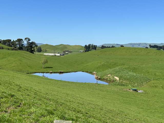 76412 State Highway 2 Rangitikei Surrounds_1