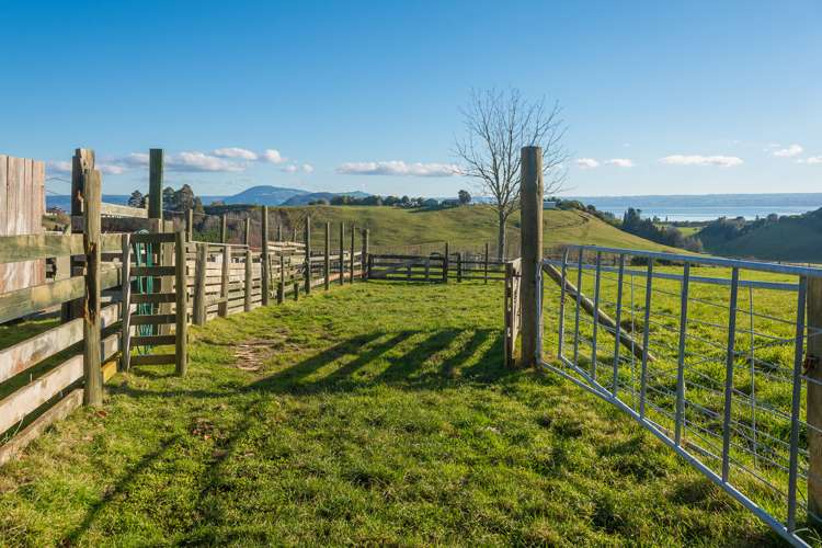 71a Te Puea Road Tikitere_20