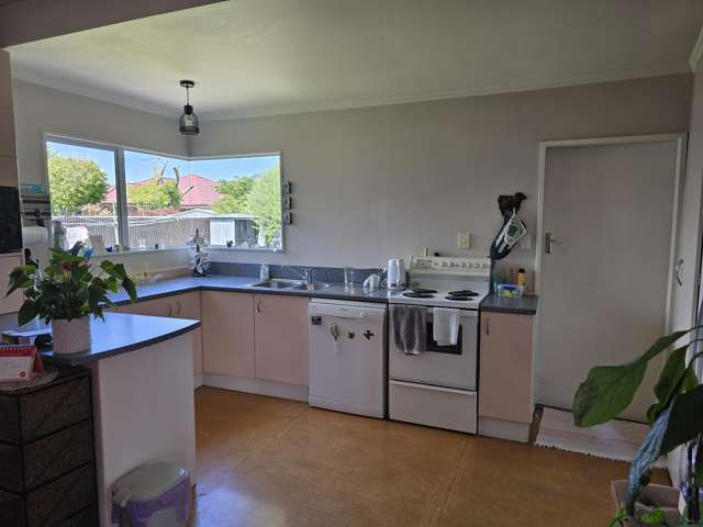 15 Manchester Street Ashburton_2