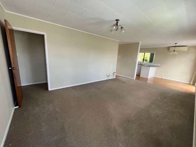 17a Reeves Road Pakuranga_2