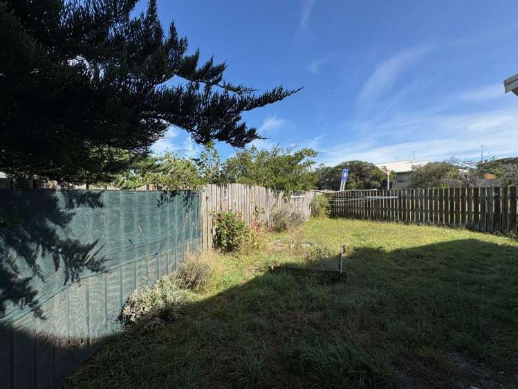 65 Rua Avenue 1233_9