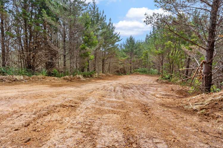 15 Waiparera Road Parua Bay_29