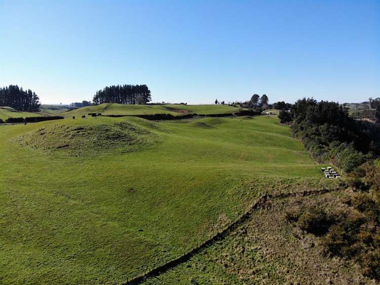 Te Waerenga Road Hamurana_2