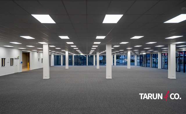 GF/93 Dominion Road Mt Eden_1