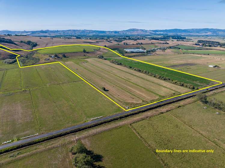 229 Wily Road Puni_12