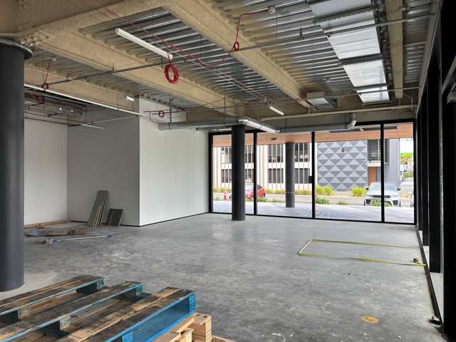 Part Ground Floor, 179 Collingwood Street Hamilton Lake_1