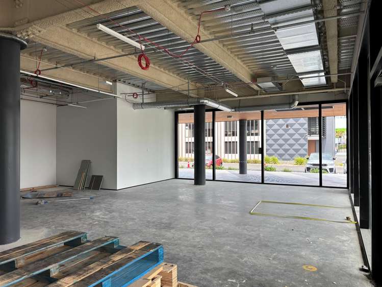 Part Ground Floor, 179 Collingwood Street Hamilton Lake_1