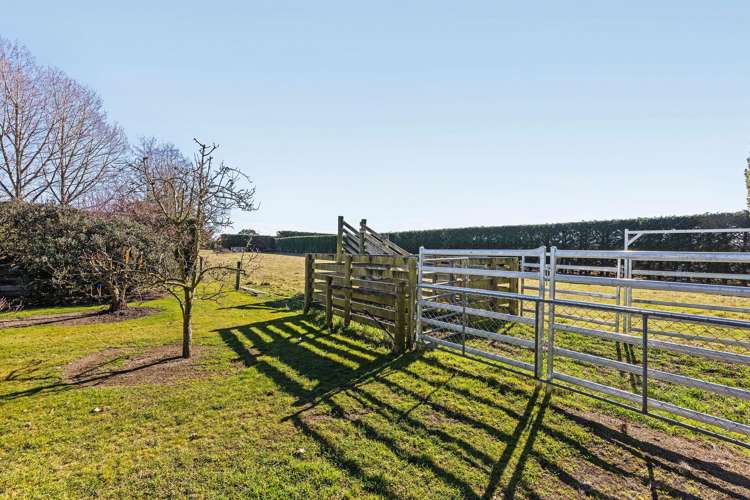 239 Earlys Road West Eyreton_14