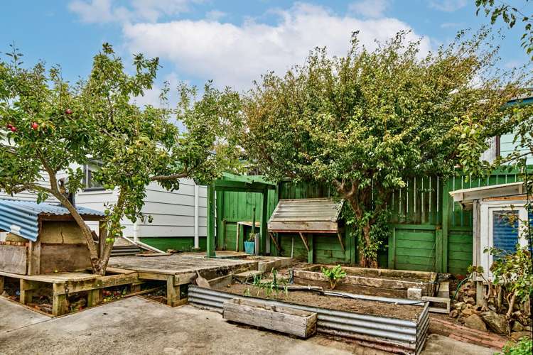 116 Daniell Street Newtown_16