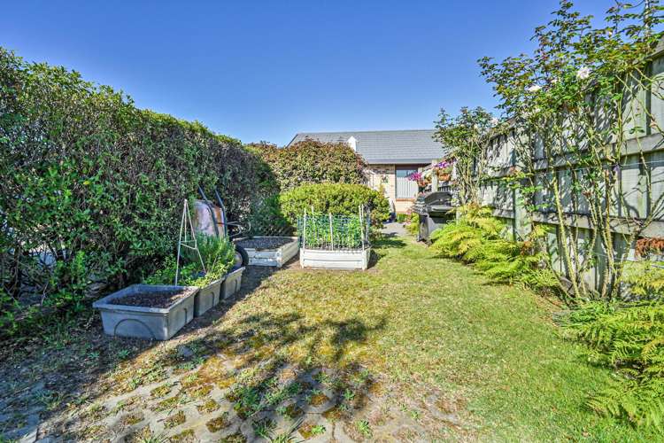 8/1232 Howard Street Parkvale_12