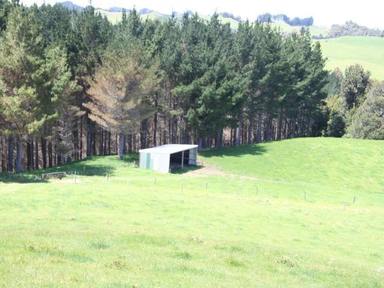 Otaraoa Road Tarata_16