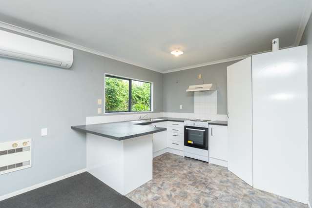 162a Rimu Street Maeroa_3