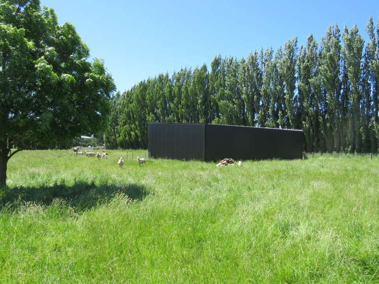 80 Johnstone Street Tinwald_9