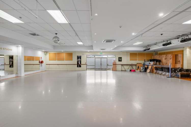108 Carlyle Street Sydenham_13