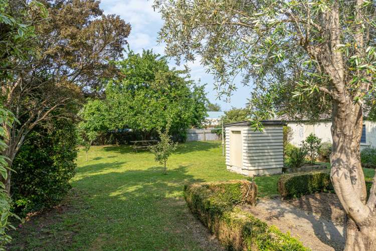 37 Dublin Street Martinborough_9