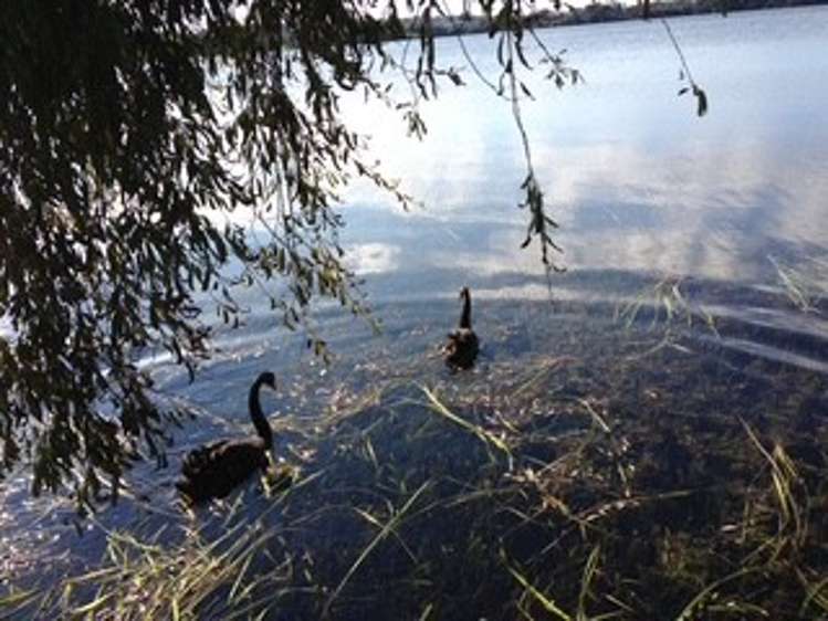 41 Lake View Road Takapuna_20