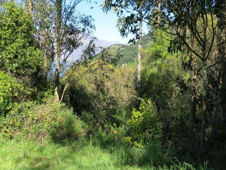 75 Arawata Terrace Fernhill/Sunshine Bay_5