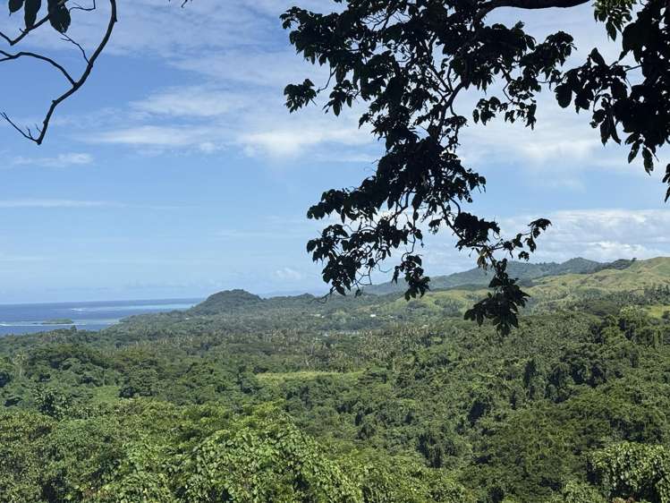 Lot 8 Raintree, Oneva_3