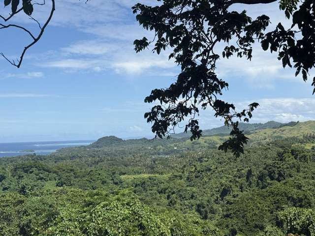 Lot 8 Raintree, Oneva Savusavu_3