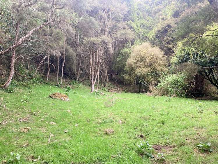 Duncan Road Hampden_10